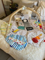 Lovevery Play Gym