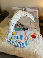 Lovevery Play Gym