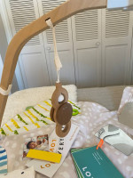 Lovevery Play Gym