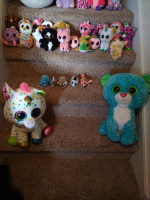 A bunch of ty beanie boos