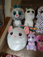 A bunch of ty beanie boos