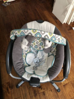 Baby Swing. CASH ONLY