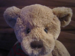 Vintage Plush Teddy Bear