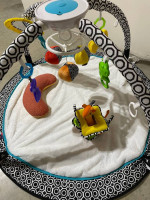 Fisher-Price Jonathan Adler Baby Sensory Gym / Play Mat
