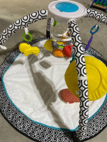Fisher-Price Jonathan Adler Baby Sensory Gym / Play Mat
