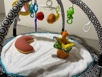 Fisher-Price Jonathan Adler Baby Sensory Gym / Play Mat