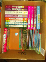 Dork Diaries and other children's books