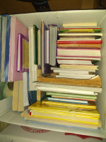 Dork Diaries and other children's books