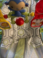 Newborn/infant bouncy seat