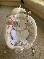Fisher-Price Sweet Snugapuppy Deluxe Bouncer