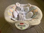 Fisher-Price Sweet Snugapuppy Deluxe Bouncer
