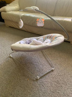 Fisher-Price Sweet Snugapuppy Deluxe Bouncer