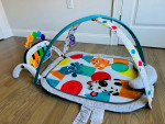 Baby Discovery Gym