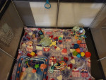 Playpen