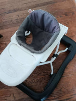Baby  "Walker"