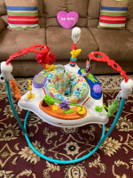 Fisher-Price Baby Bouncer Animal Activity Jumperoo With Music Lights Sounds And