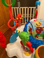 Baby Einstein Activity Jumper