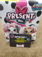 Present Pets Fancy Puppy Toy