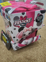Present Pets Fancy Puppy Toy