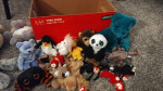 Stuffed animals (29 all together)