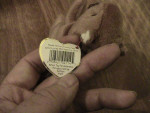 Vintage 1996 TY Beanie Baby - NUTS The Squirrel-5.5" Tall
