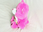 Care Bear Cheer Bear Plush Hug and Giggle Talking Large Stuffed To