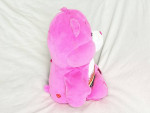 Care Bear Cheer Bear Plush Hug and Giggle Talking Large Stuffed To