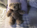 Vintage Progressive Teddy Bear-Dane-10" Tall