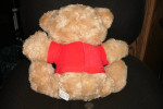 Fisher-Price Learn And Sing Teddy