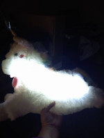 Stuffed toy lot