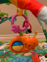 Fisher Price Rainforest Play Mat