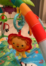 Fisher Price Rainforest Play Mat