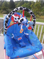 Fisher Price Infant-to-Toddler Rocker