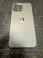 iPhone 13 Pro Max graphite 1Tb