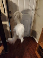 Marionette Limber Louie
