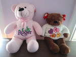 Two teddy bears