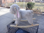 Rocking Horse - Toy Plush Bunny