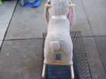Rocking Horse - Toy Plush Bunny