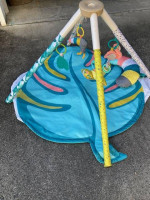 Infantino Baby Play Mat
