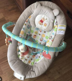 Disney Winnie the Pooh Infant Bouncer