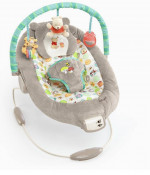 Disney Winnie the Pooh Infant Bouncer