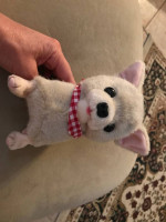Barking Puppy Toy
