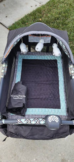 Baby Trend Pack And Play Nursery Center