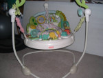 Jumperoo Fisher Price- tons of toy, deluxe