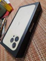 Apple iPhone 13 Pro Max 256 GB- Unlocked