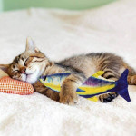 Funny Floppy Moving Fish Cat Toy Realistic Interactive Dancing Catnip