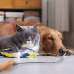 Funny Floppy Moving Fish Cat Toy Realistic Interactive Dancing Catnip