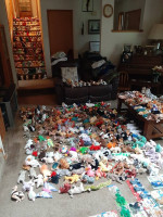Beanie Baby’s