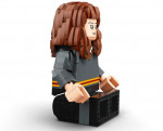 LEGO Harry Potter & Hermione Granger (76393)