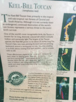 Preservation Puzzles Foam Bird Puzzle - Keel - Bill Toucan